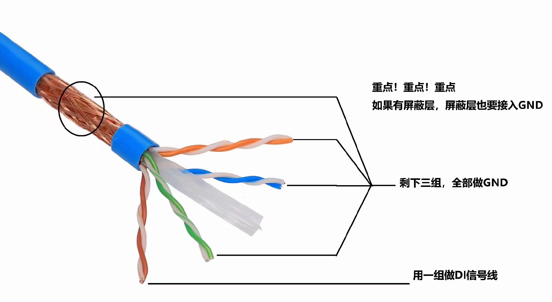 netcable.jpg